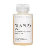 Olaplex No.4 Bond Maintenance Shampoo (100ml) Price in Bangladesh | Ordinary UK BD